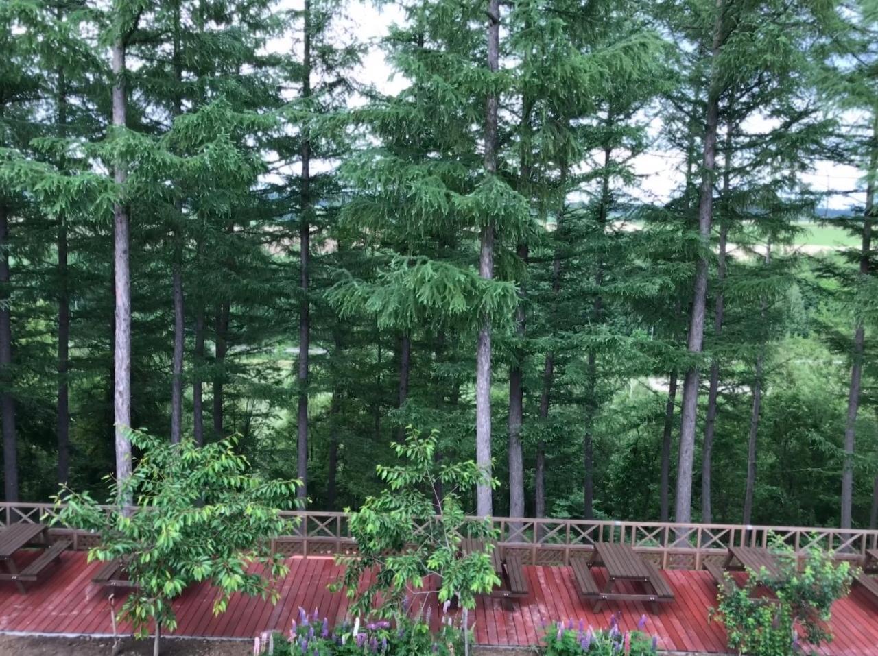 Ritz Garden Niji Pension Biei Buitenkant foto